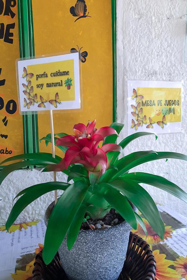Hostal Gabo Bucaramanga Bagian luar foto