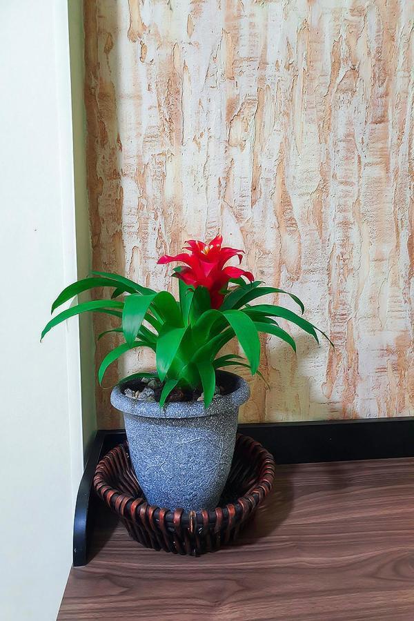 Hostal Gabo Bucaramanga Bagian luar foto